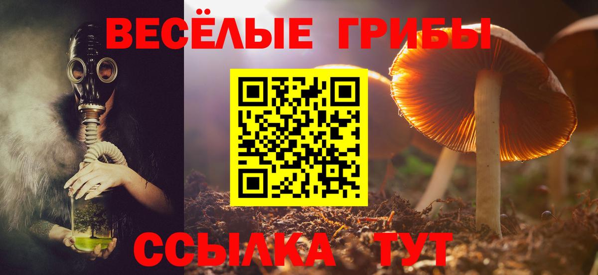 Нягань  как найти   Вход с VPN  Галлюциногенные грибы GOLDEN TEACHER 